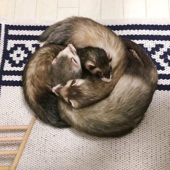 Meet your Posher, CGS💕Poshmark Ambassador💕 - Picture 5 of 10